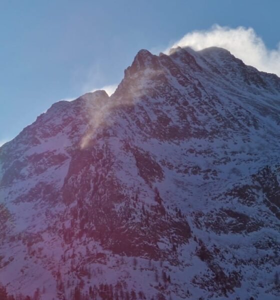 e7f663bf-31b1-4af5-9a7c-70a211bff657